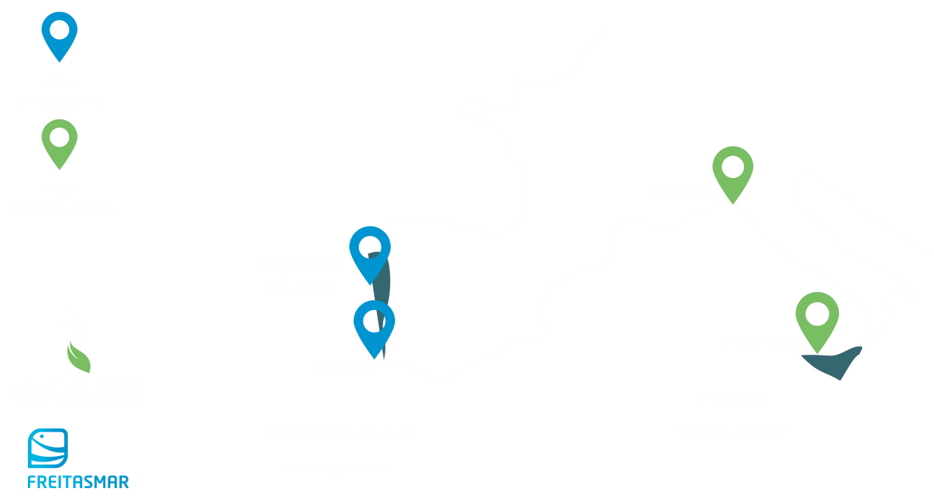 Il Gruppo Map